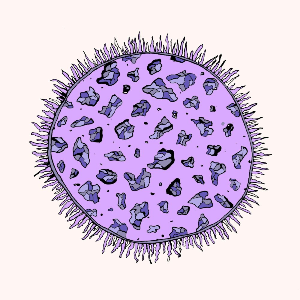 organic illustration art bio cells
